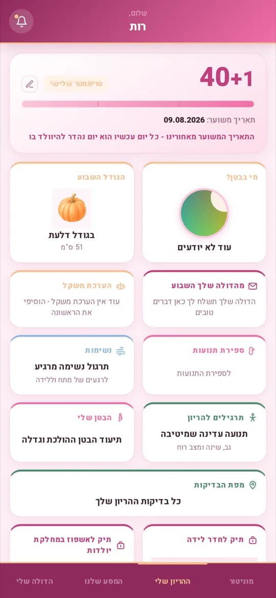 מסך ההריון שלי: שבוע 40+1, טרימסטר שלישי, הגודל השבוע דלעת 51 סנטימטר